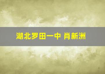 湖北罗田一中 肖新洲